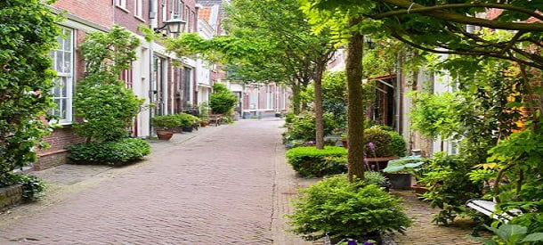 Groen moet je doen!
