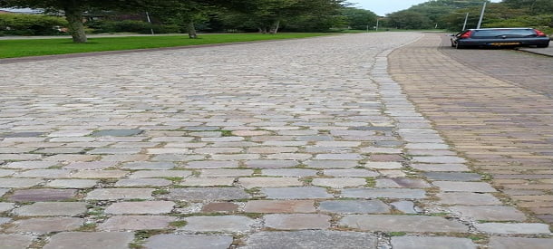BAS: Maak van de Munnikenweg een monument!